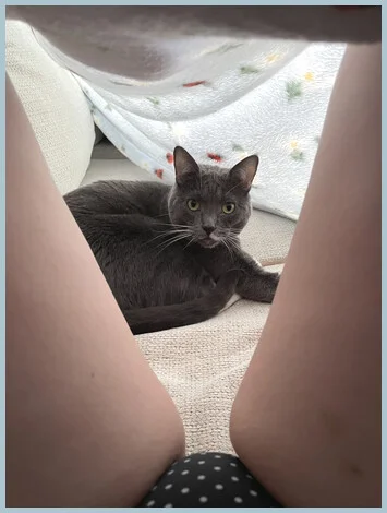 AMELIA JEREMY gallery photo 1