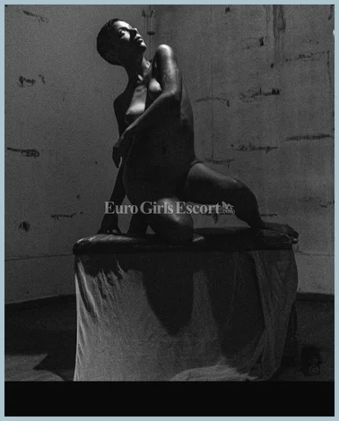 Brownie gallery photo 1