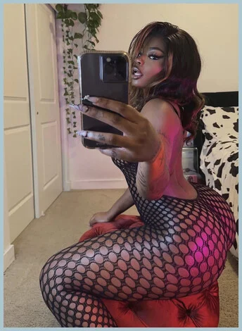 Mayhashira gallery photo 2