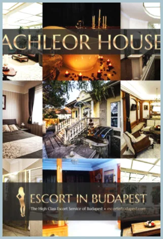 AK PAY2PLAY VIP BACHELOR PARTY SERVICES gallery photo 1