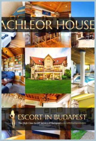 AK PAY2PLAY VIP BACHELOR PARTY SERVICES gallery photo 2