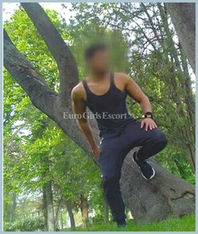 David gallery photo 1