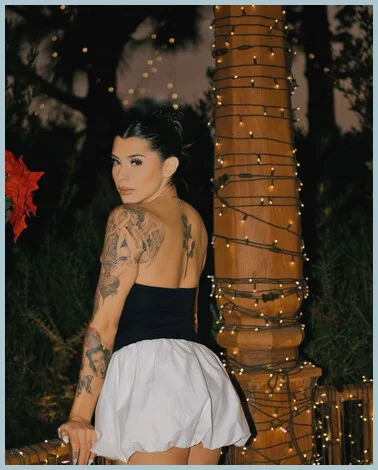 Lisatrans gallery photo 2