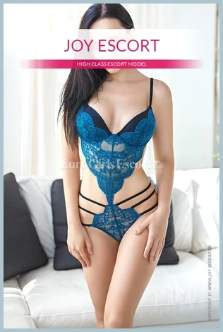 Michelle escort Zurich , agency Joy Escort gallery photo 1