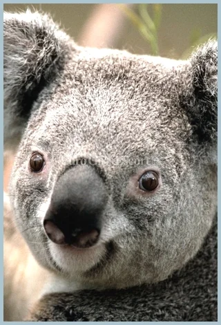 Test12 , agency Czech Escort Stars Ladys model